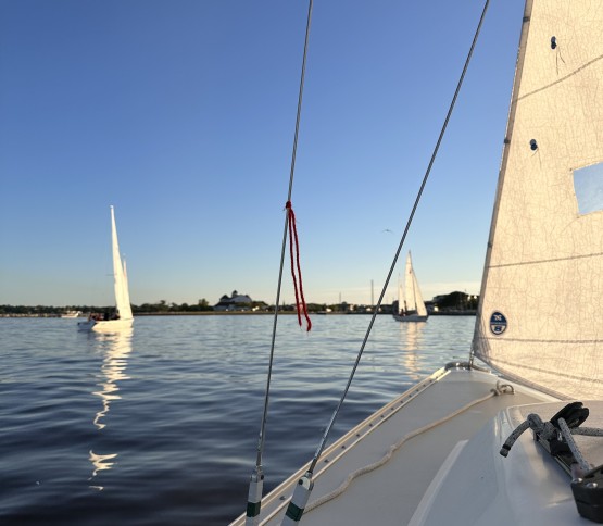 Uploaded.jpg Thumbnail